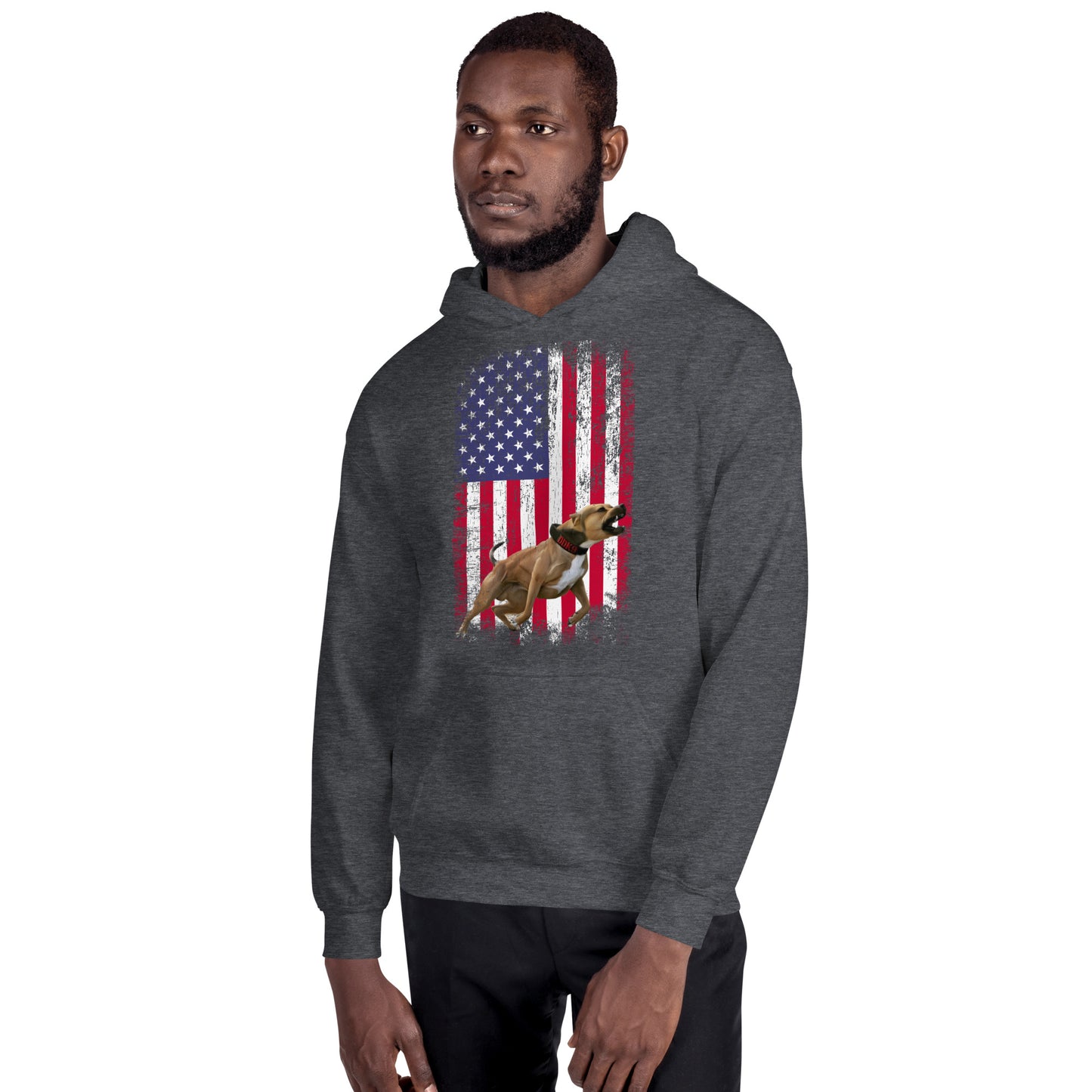 Ace USA Men's Hoodie