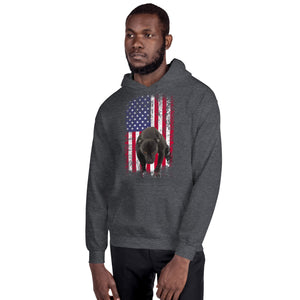 Lola USA Men's Hoodie