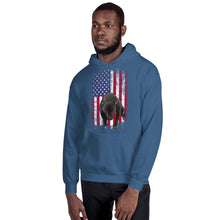 Load image into Gallery viewer, Lola USA Men&#39;s Hoodie