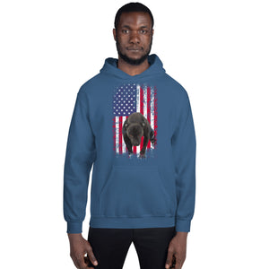Lola USA Men's Hoodie