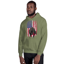 Load image into Gallery viewer, Lola USA Men&#39;s Hoodie