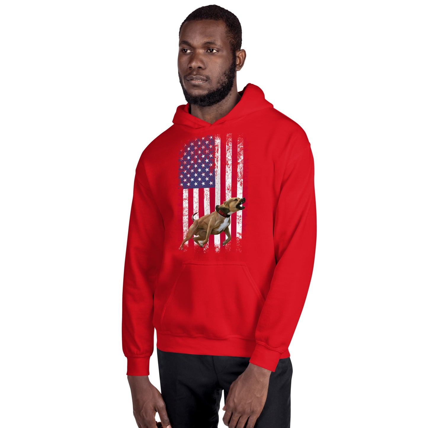 Ace USA Men's Hoodie