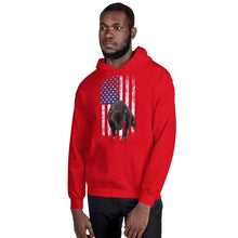 Load image into Gallery viewer, Lola USA Men&#39;s Hoodie