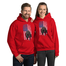 Load image into Gallery viewer, Lola USA Unisex Hoodie