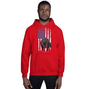 Lola USA Men's Hoodie
