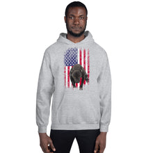 Load image into Gallery viewer, Lola USA Men&#39;s Hoodie