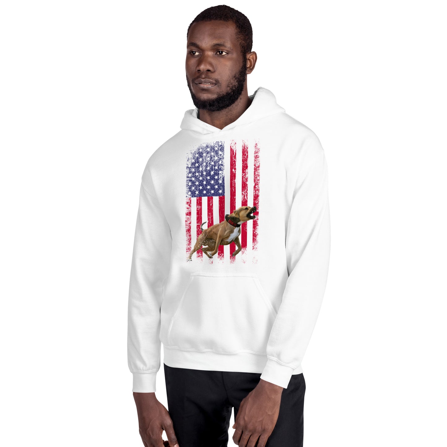 Ace USA Men's Hoodie