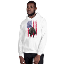 Load image into Gallery viewer, Lola USA Men&#39;s Hoodie