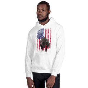Lola USA Men's Hoodie
