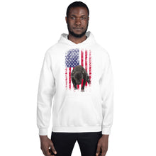 Load image into Gallery viewer, Lola USA Men&#39;s Hoodie