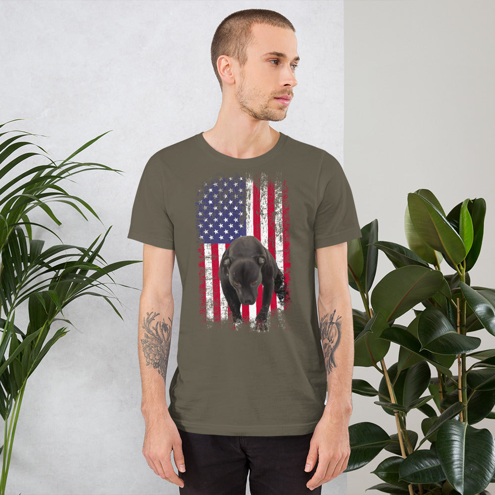 Lola USA Men's t-shirt