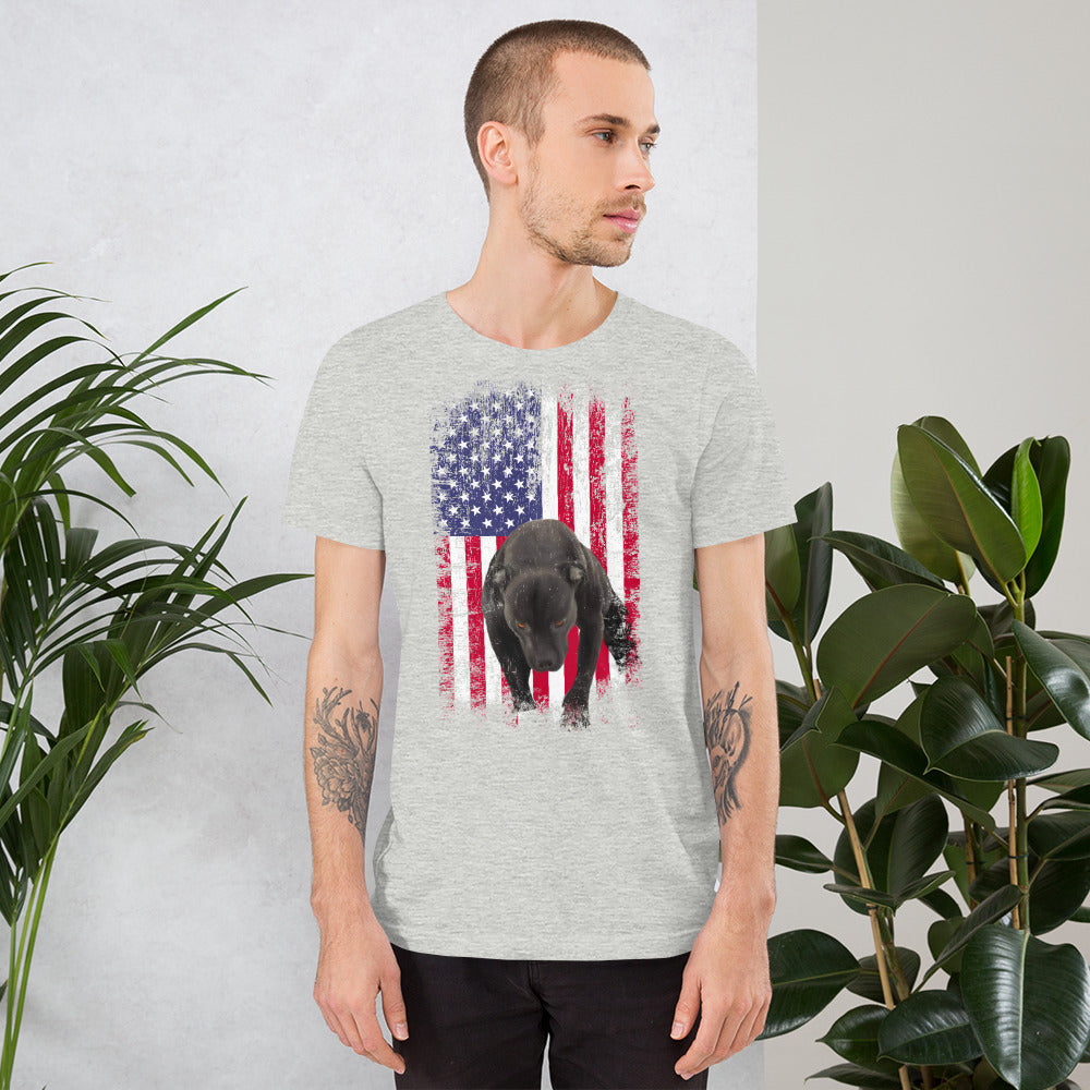 Lola USA Men's t-shirt