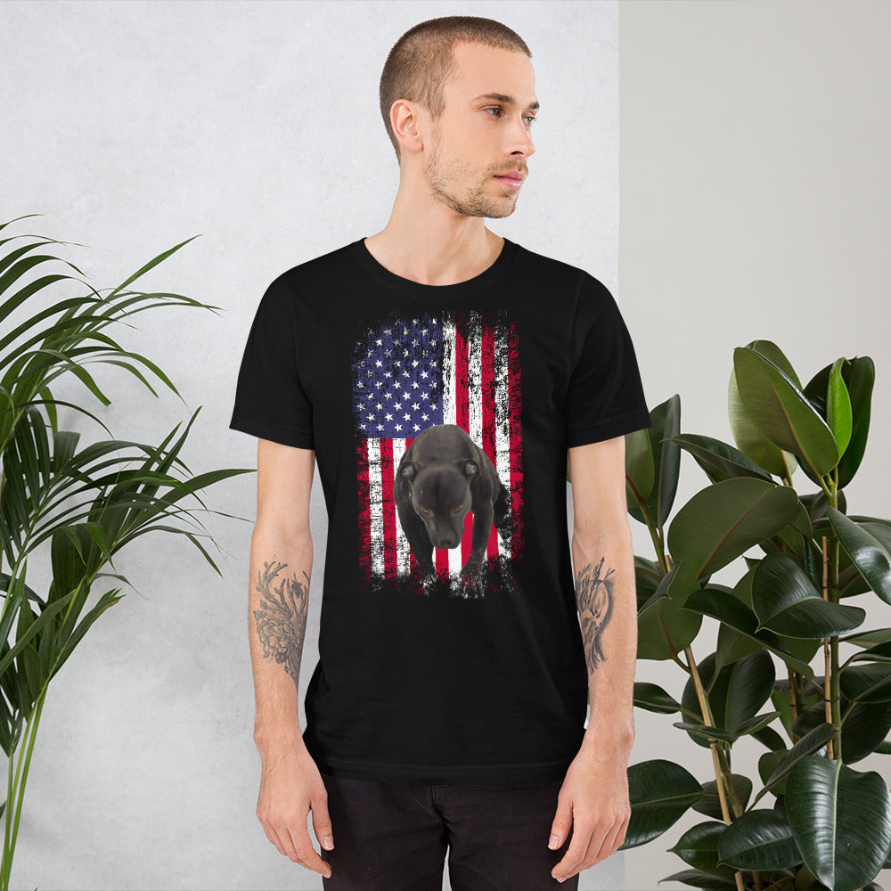 Lola USA Men's t-shirt