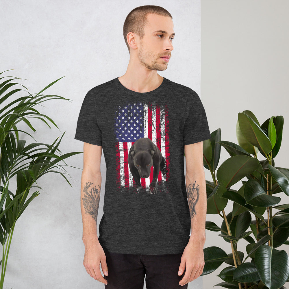 Lola USA Men's t-shirt