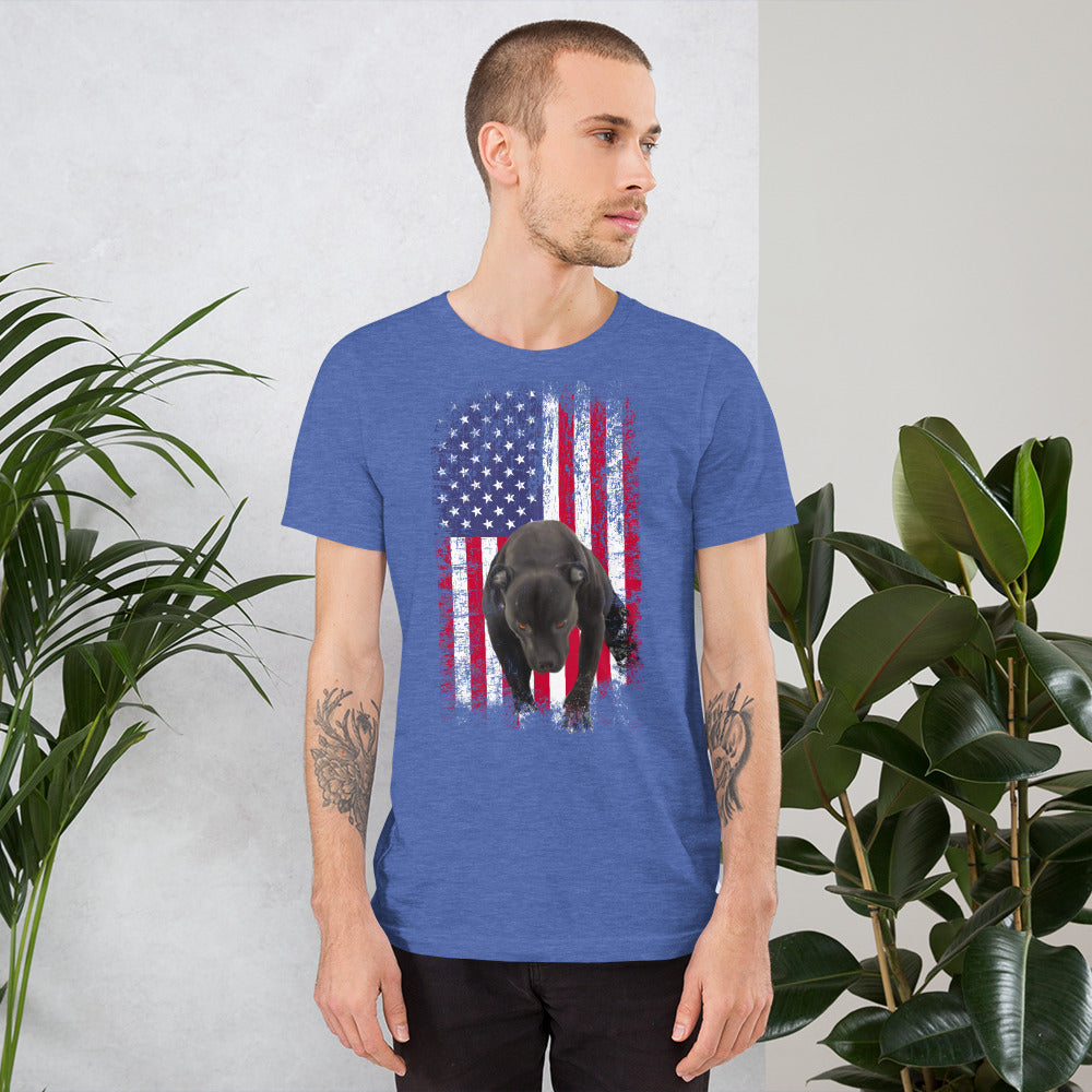 Lola USA Men's t-shirt