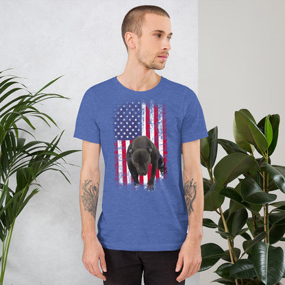 Lola USA Men's t-shirt
