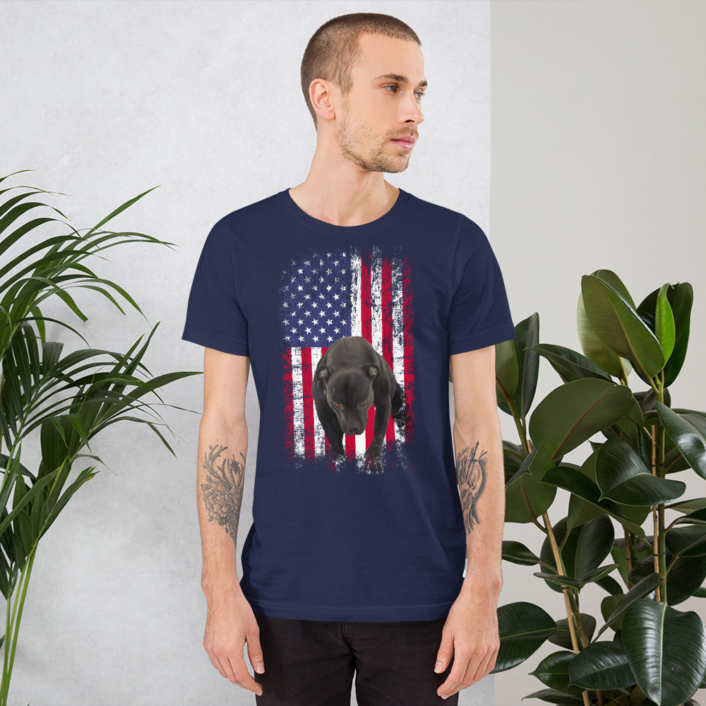 Lola USA Men's t-shirt