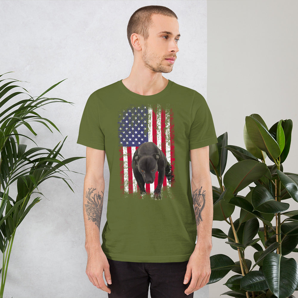 Lola USA Men's t-shirt