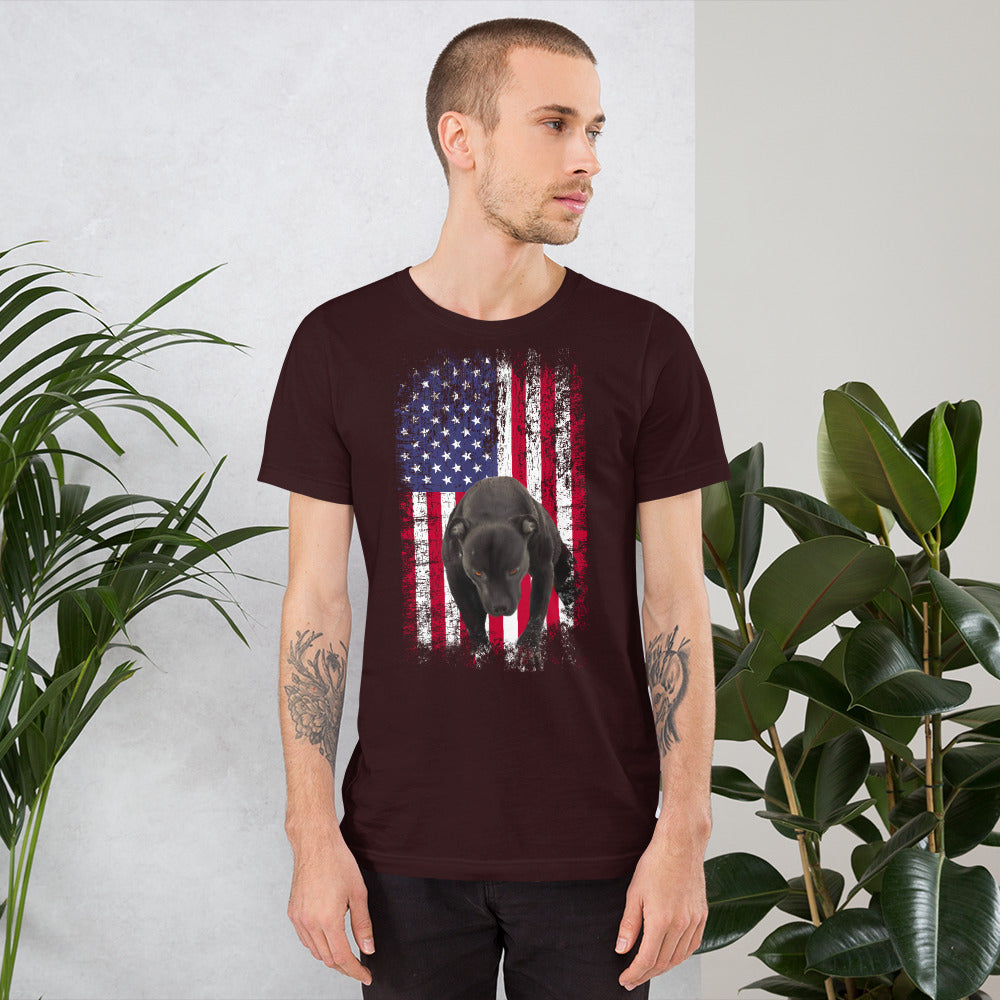 Lola USA Men's t-shirt