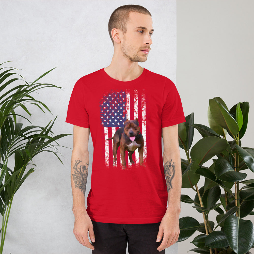 Sossa USA Men's T shirt