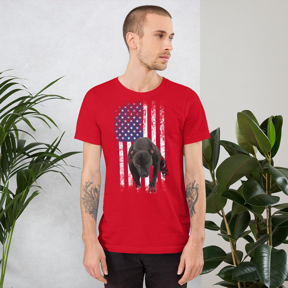 Lola USA Men's t-shirt